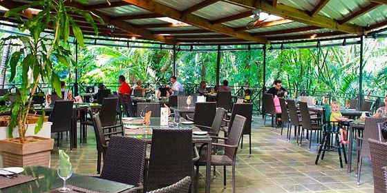 Lunch hungry crocodile restaurant (5)
